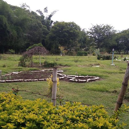 Nīlgiri Blue Valley Jungle Resort מראה חיצוני תמונה